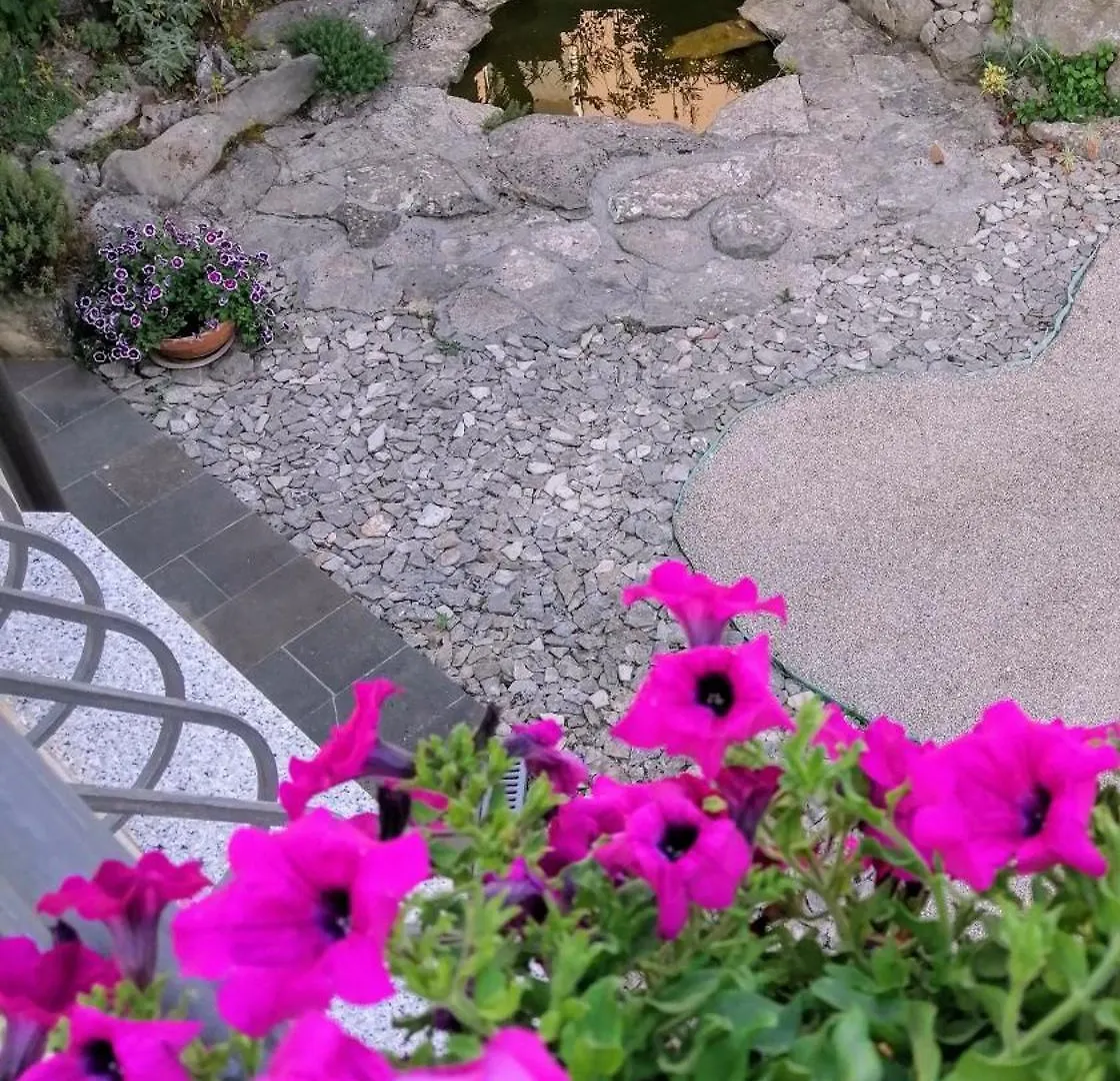 Villa Mandolina Apartments Zadar