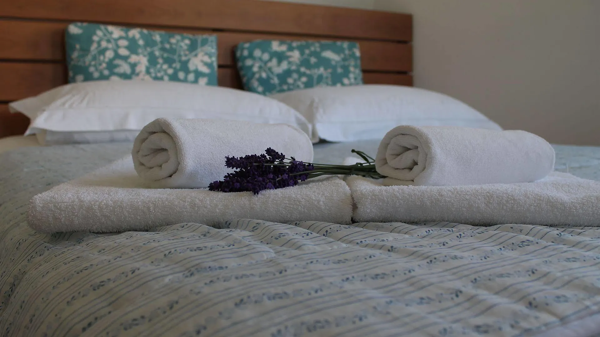 Villa Mandolina Apartments Zadar